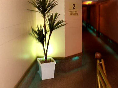 Hotel Fenix (adults Only)